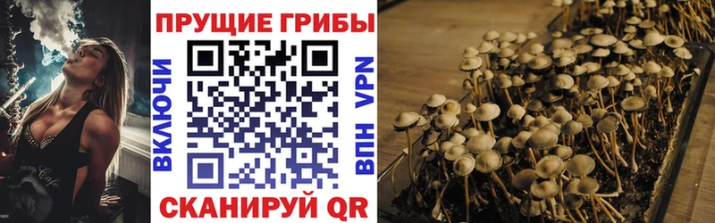 Псилоцибиновые грибы Magic Shrooms  где купить   Ардон 